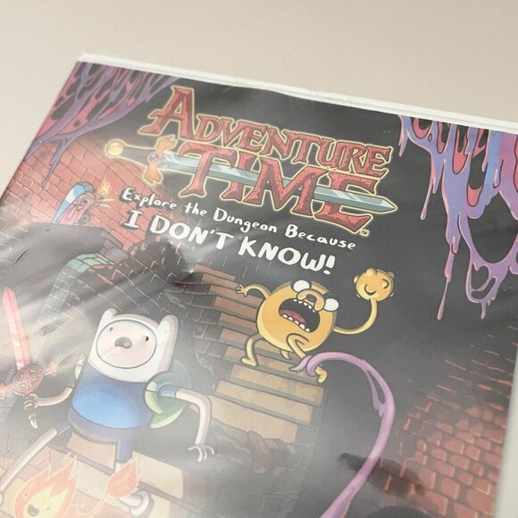 Adventure Time Explore the Dungeon Because I Dont Know Nintendo 3DS Game Flaws - Picture 7 of 16
